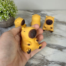 Load image into Gallery viewer, Squishy Toy - Capybara
